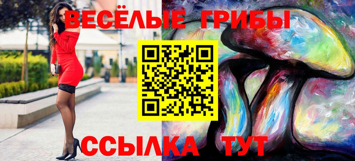 Галлюциногенные грибы Psilocybine cubensis Алушта