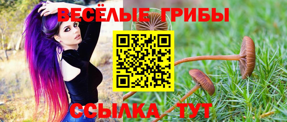 Алушта  Псилоцибиновые грибы MAGIC MUSHROOMS  Вход с VPN  Галлюциногенные грибы Magic Shrooms 